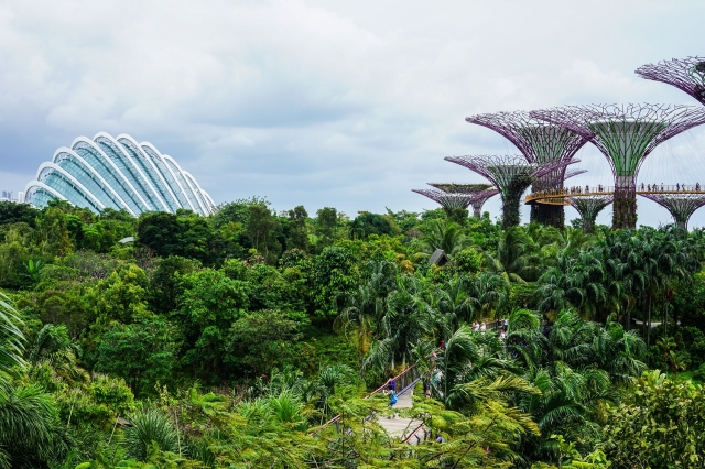 Gardens by the Bay and Forest Dome